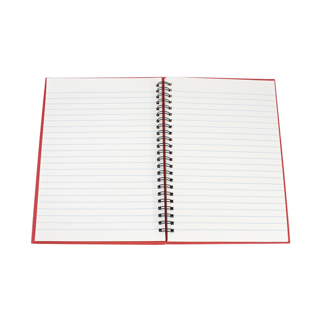 3389 LIBRETA GULLIVER