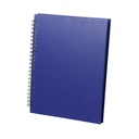 3389 LIBRETA GULLIVER