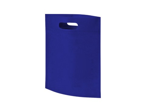 104001 BOLSA EXPO